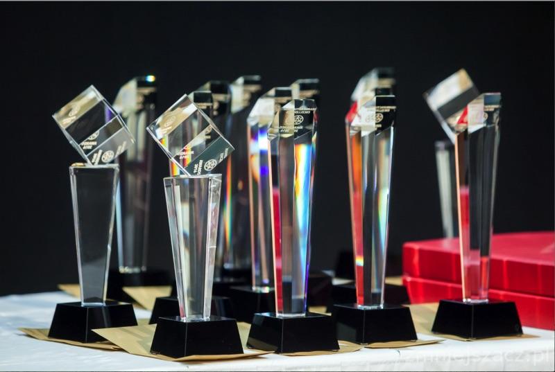 Nominacje do CEE Manufacturing Excellence