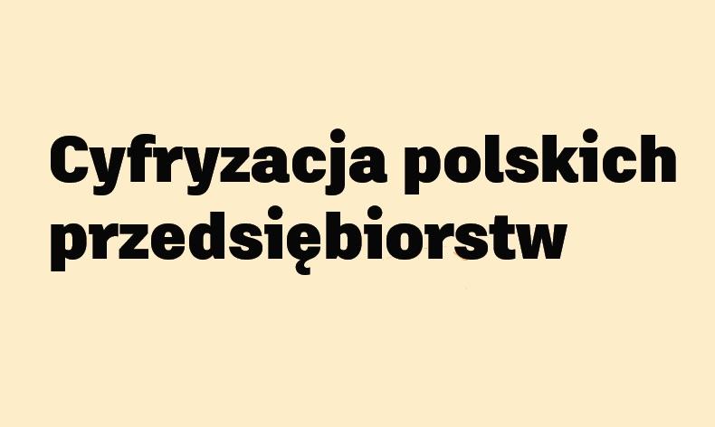 Stan cyfryzacji polskiego przemysłu